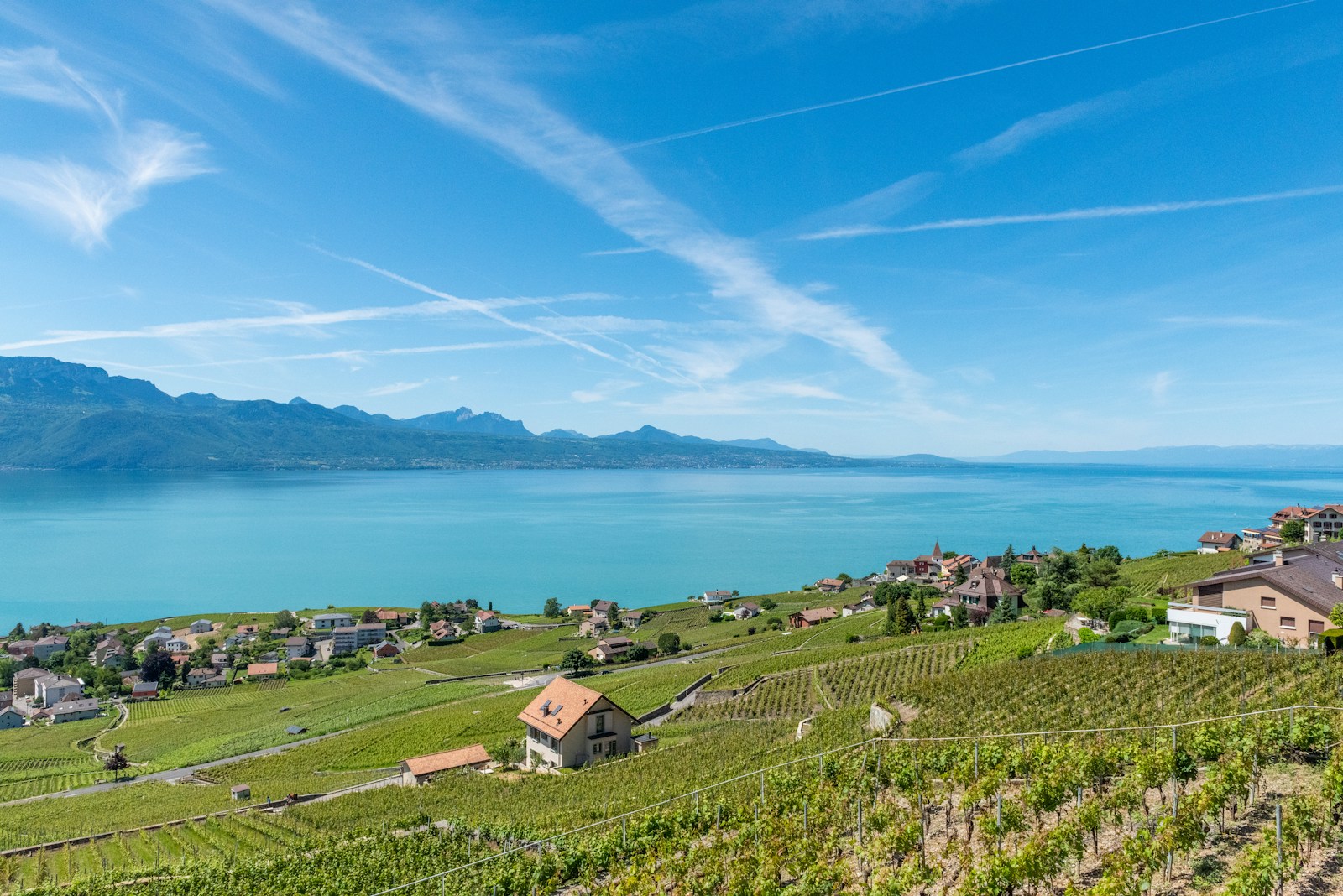 Vaud-Lausanne